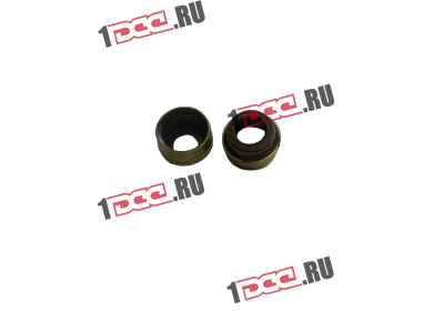 Колпачок маслосъемный WP12 SHAANXI / Shacman (ШАНКСИ / Шакман) 61800050151 фото 1 Липецк