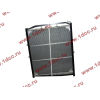 Радиатор WP10 SH SHAANXI / Shacman (ШАНКСИ / Шакман) DZ9112539268 фото 2 Липецк