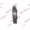 Шестерня привода распредвала промежуточная WD615/WP10 HOWO (ХОВО) VG1560050053/61560050053 фото 3 Липецк