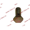 Болт пустотелый М12х1,25 (штуцер топливный) H HOWO (ХОВО) 90003962607 фото 3 Липецк